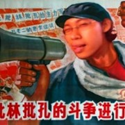 china-horn china-horn